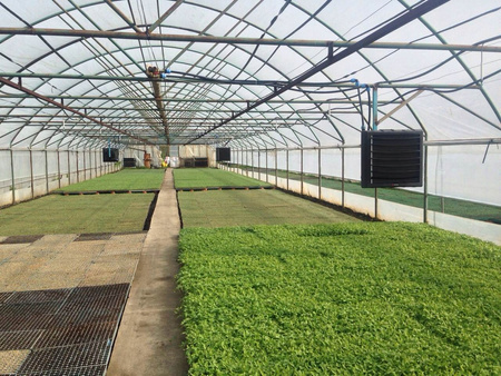 Reventon HC45-3S 55,6kW Wasser-Lufterhitzer