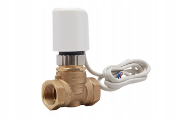 Ventil 3/4'' mit Stellantrieb für Heizung DN20 230V